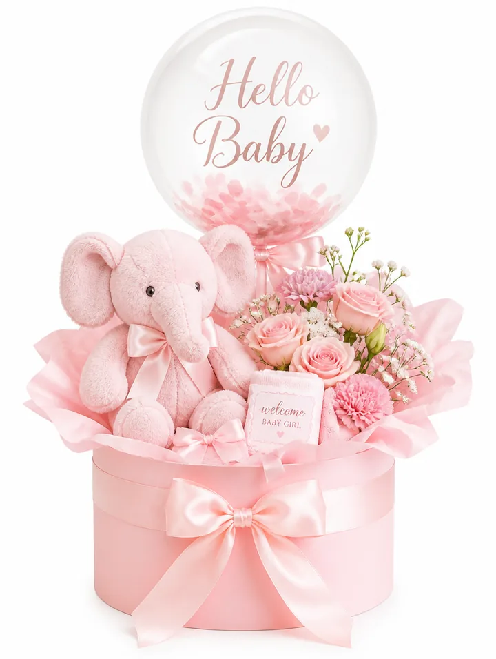 Baby Girl Welcome